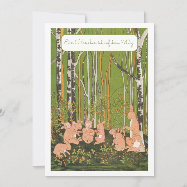 Ein Kleines Haeschen Baby Party Einladung Invitation (Front)