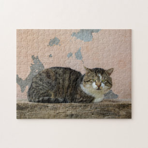 Eine Katze vor alter Mauer Jigsaw Puzzle