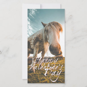 Einen schönen Valentinstag mit schauendem Pferd