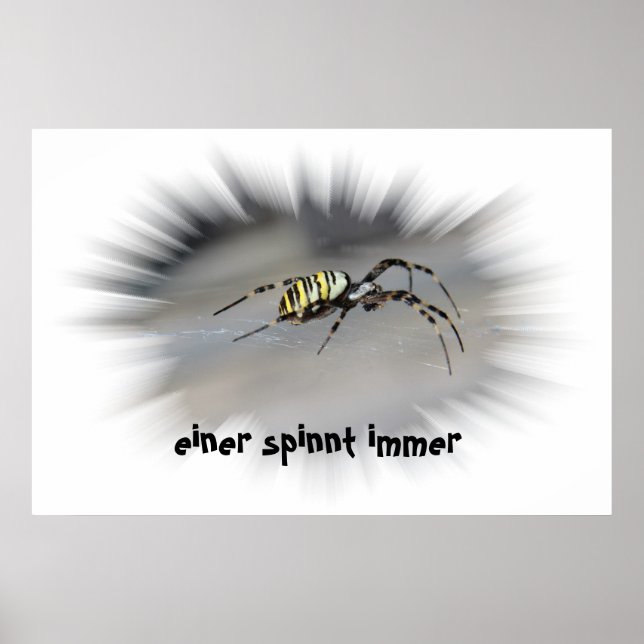 einer spinnt immer Poster (Front)