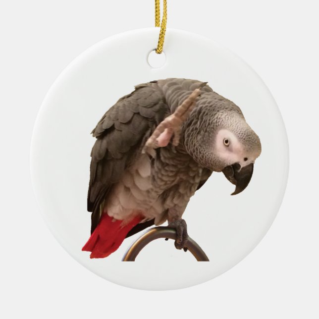 Einstein African Gray Parrot Waving Ceramic Tree Decoration (Front)