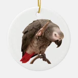 Einstein African Grey Parrot Waving Ceramic Tree Decoration