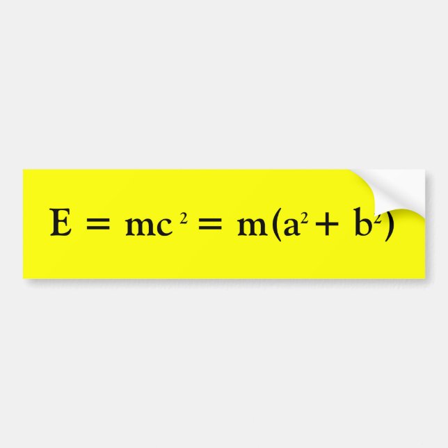 Einstein and Pythagoras Bumper Sticker (Front)