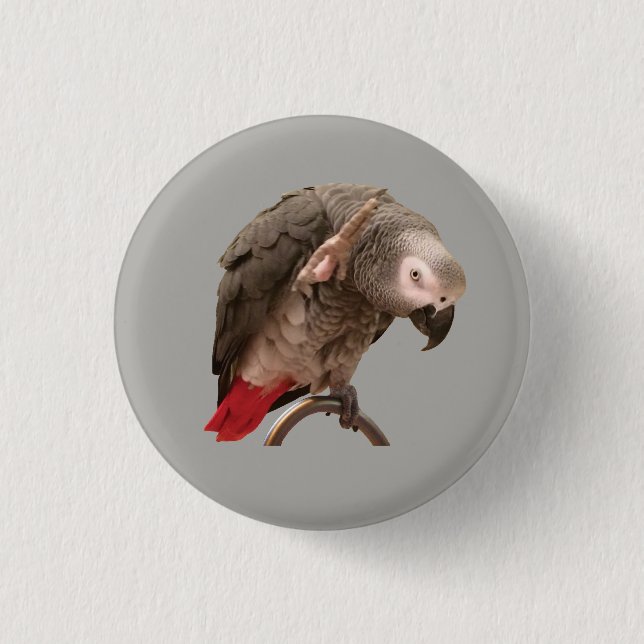 Einstein Parrot Waving 3 Cm Round Badge (Front)