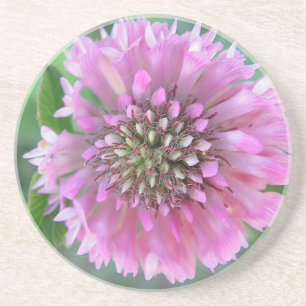 Einzigartige rosa Blüte Coaster
