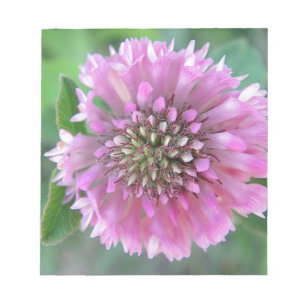 Einzigartige rosa Blüte Notepad