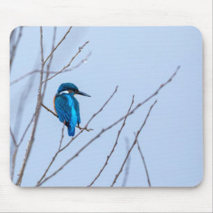 Eisvogel im Ansitz Mouse Mat