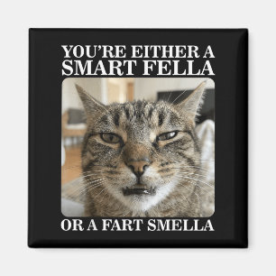 Either a Smart Fella or a Fart Smella Funny Cat Magnet