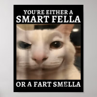 Either A Smart Fella Or A Fart Smella Funny Cat