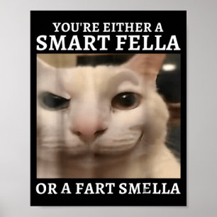 Either A Smart Fella Or A Fart Smella Funny Cat Poster