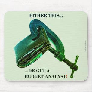 "Either this... or get a budget analyst" Mouse Mat