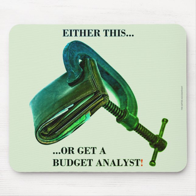 "Either this... or get a budget analyst" Mouse Mat (Front)