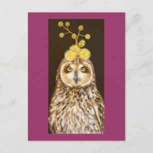 Ekewaka pueo short eared owl postcard