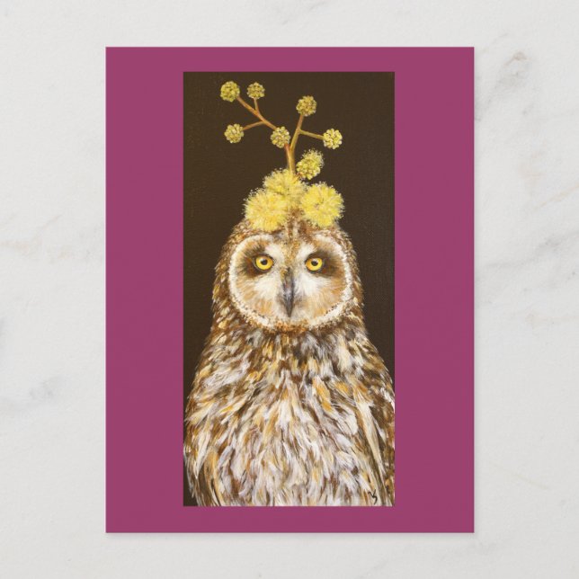 Ekewaka pueo short eared owl postcard (Front)