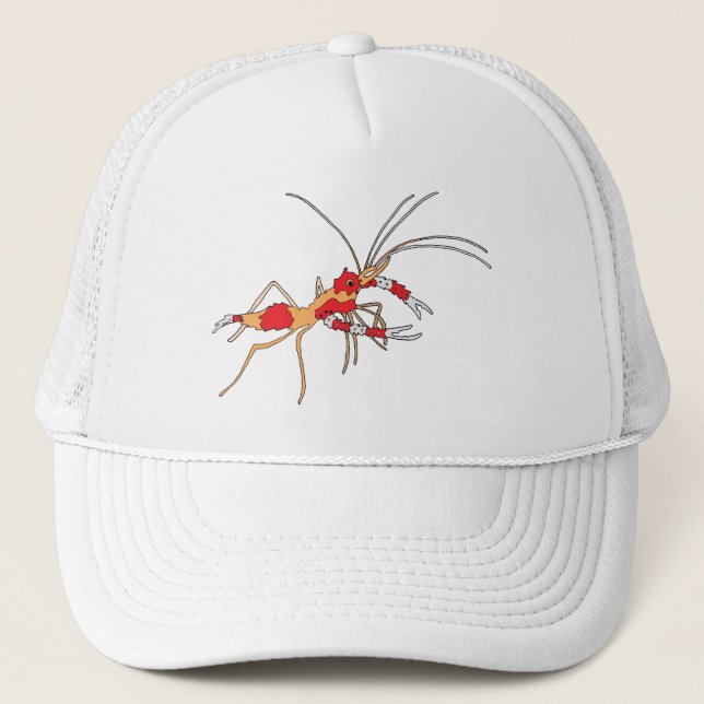 ekos shrimp cap (Front)