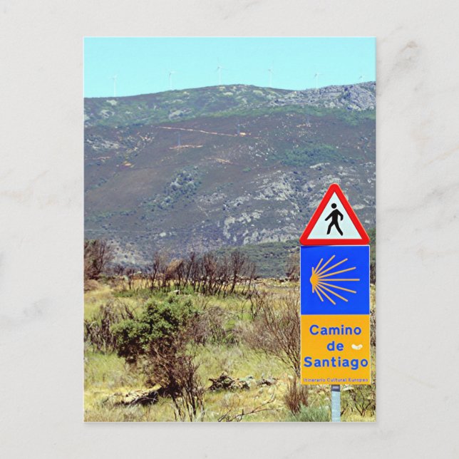 El Camino de Santiago de Compostela sign, Spain Postcard (Front)
