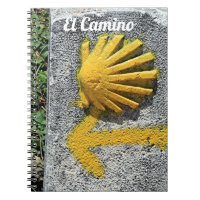 El Camino de Santiago de Compostela, Spain, shell