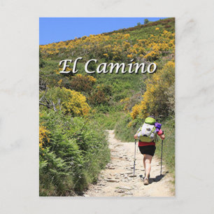 El Camino de Santiago de Compostela, Spain, trail Postcard