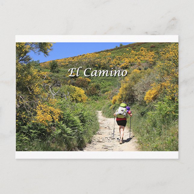 El Camino de Santiago de Compostela, Spain, trail Postcard (Front)