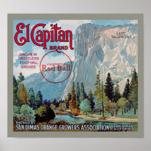 El Capitan Brand San Dimas Oranges Fruit Label Poster