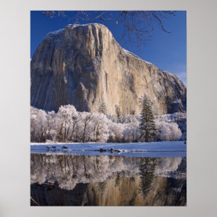 El Capitan reflects into the Merced River in 2 Poster