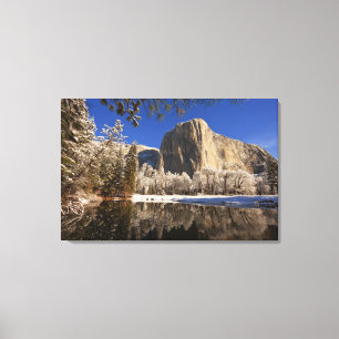 El Capitan reflects into the Merced River in Canvas Print