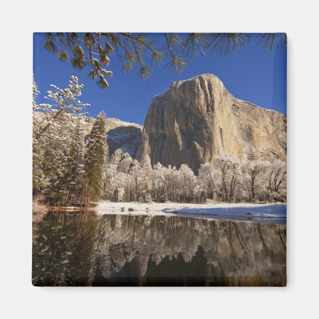 El Capitan reflects into the Merced River in Magnet (Front)
