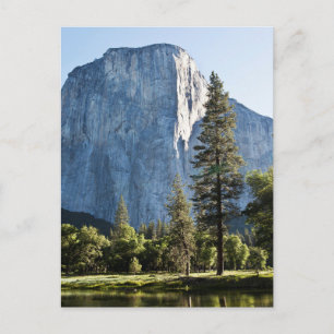 El Capitan Yosemite National Park Postcard