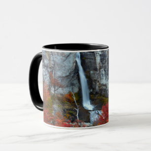 El Chorrillo Waterfall   Patagonia, Argentina Mug