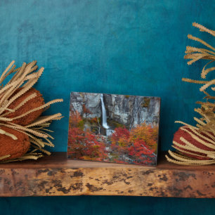El Chorrillo Waterfall   Patagonia, Argentina Plaque