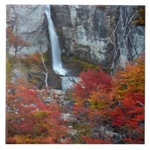 El Chorrillo Waterfall   Patagonia, Argentina Tile