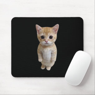 El Gato Cat Meme Mouse Pad