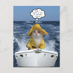 El Gato fisherman (Cat Fisherman) Postcard
