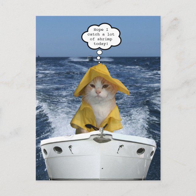 El Gato fisherman (Cat Fisherman) Postcard (Front)