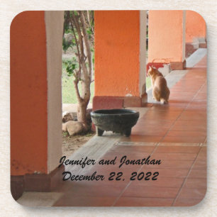 El Gato, the Cat, Orange, Personalized Name Coaster