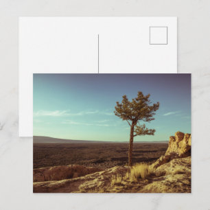 El Malpais National Monument Postcard