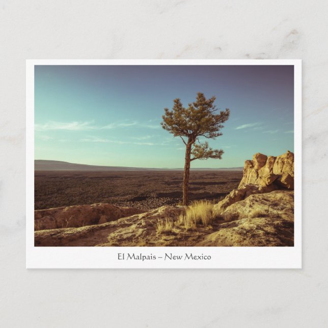 El Malpais National Monument Postcard (Front)