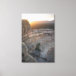 El Malpais Sandstone Bluffs Canvas Print