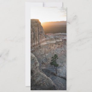 El Malpais Sandstone Bluffs Card