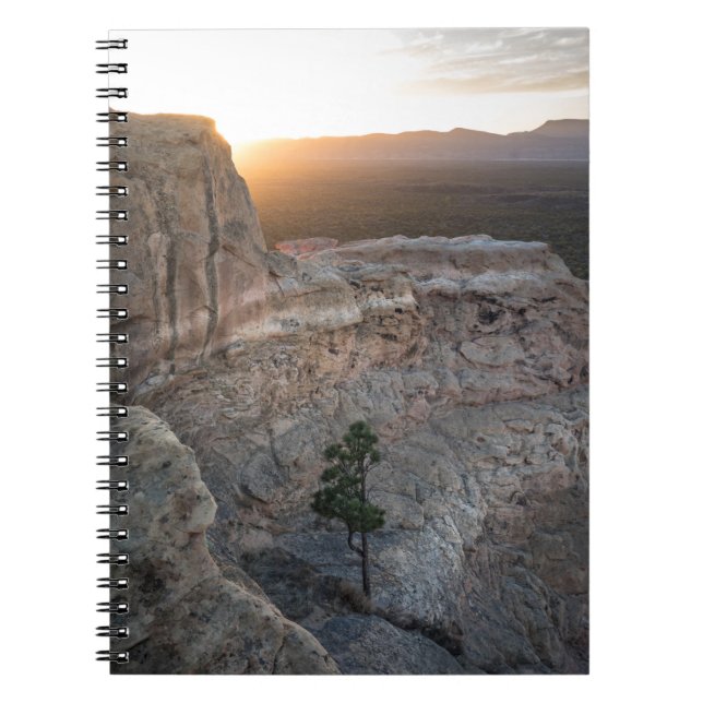 El Malpais Sandstone Bluffs Notebook (Front)