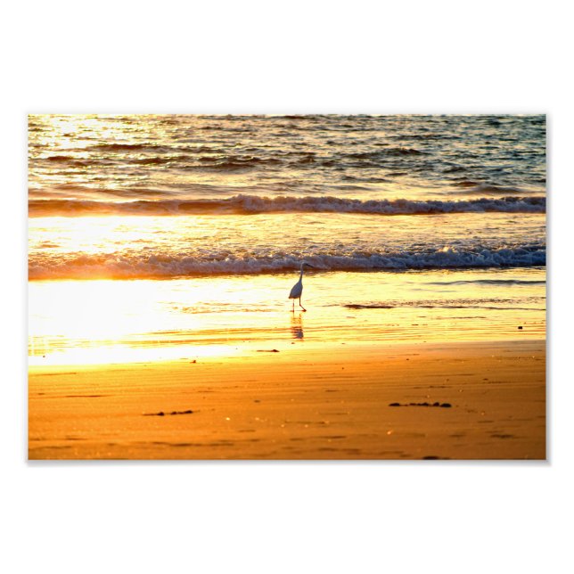 El Porto Manhattan Beach Photo Print (Front)