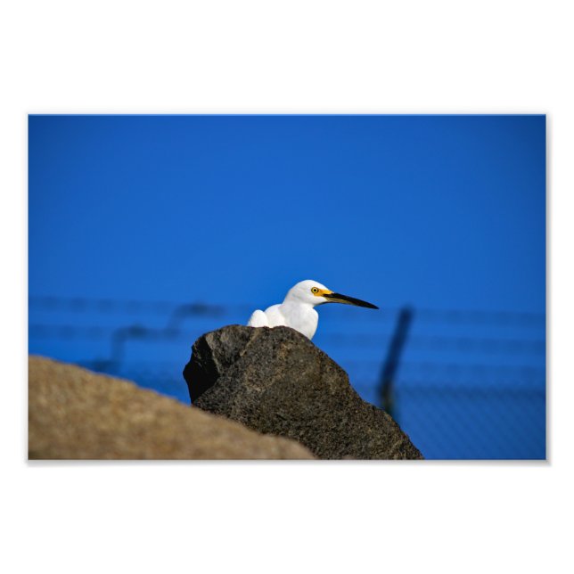 El Porto Manhattan Beach Photo Print (Front)