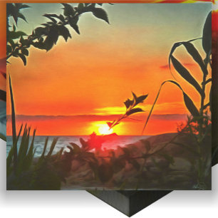 El Rio Pitillal 2009 Art  Canvas Print