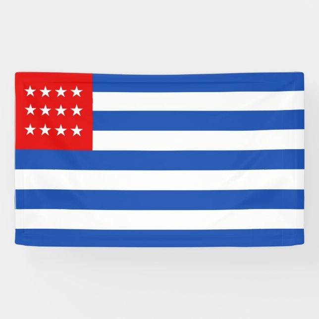 El Salvador (1869-1873) flag Banner (Horizontal)