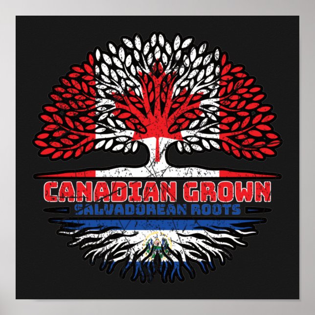 El Salvador Salvadorean Salvadorian Salvadoran Can Poster (Front)