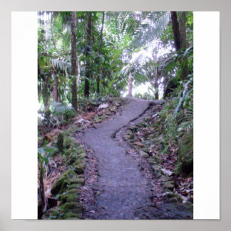 El Yunque National Forest Poster