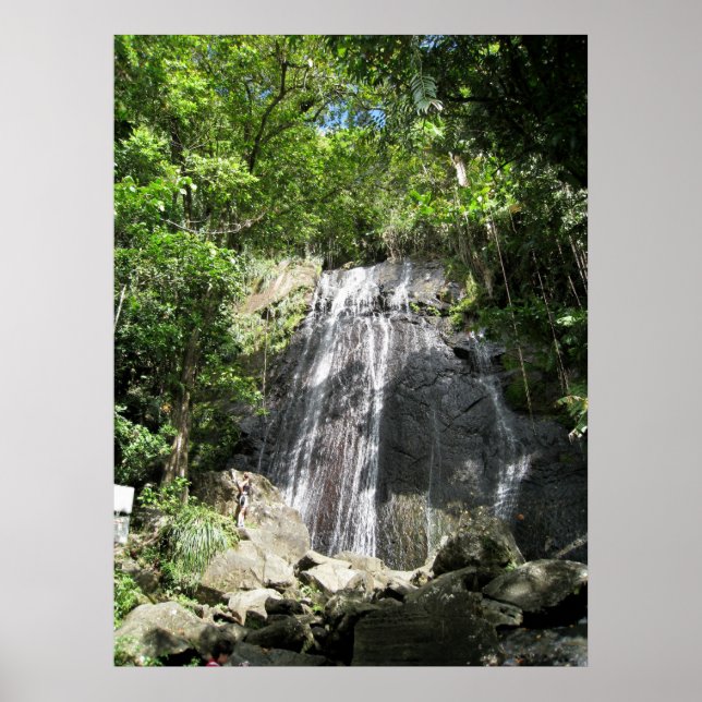 El Yunque Puerto Rico Framed Photo Poster (Front)