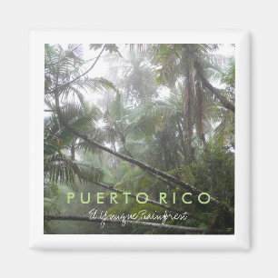 El Yunque, Puerto Rico Magnet