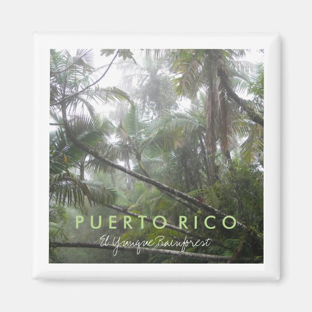 El Yunque, Puerto Rico Magnet (Front)