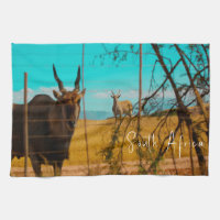 Eland Antelope Animal South Africa ZA